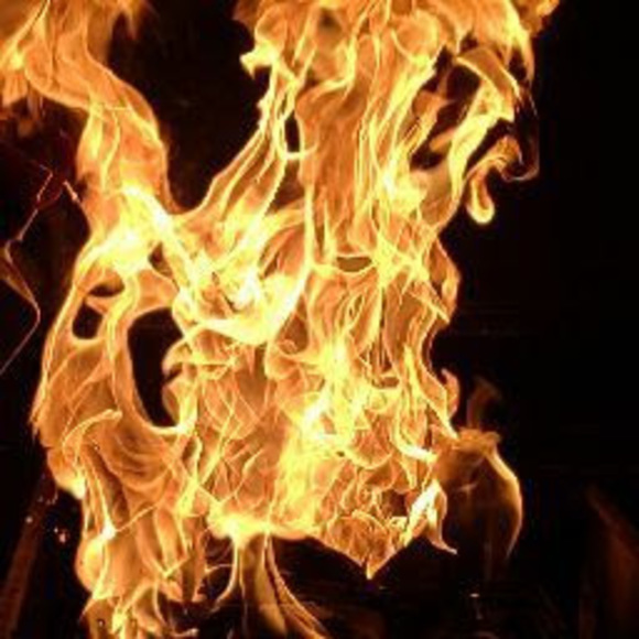 Meet your Posher, Chloe - Picture 1 of 1